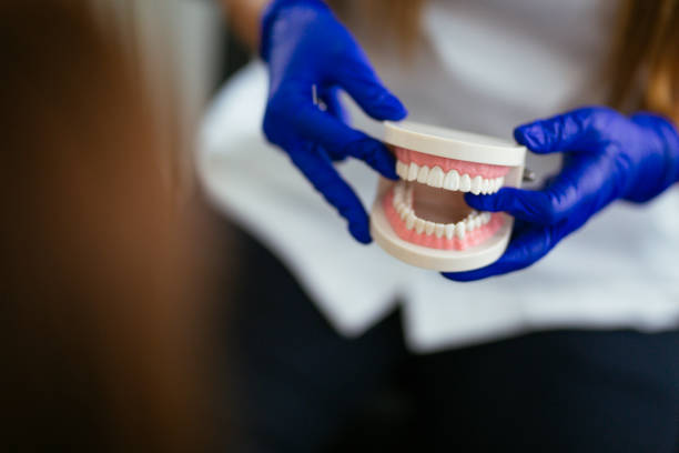 Why Choose Us for Your Dental Needs in Bristol, WI